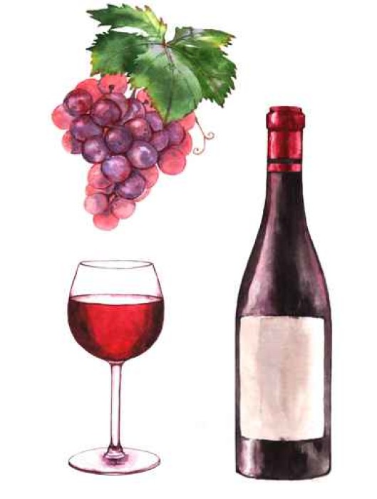 529x700 Hand Drawn Watercolor Illustration Of The Wine Bottle, Grape