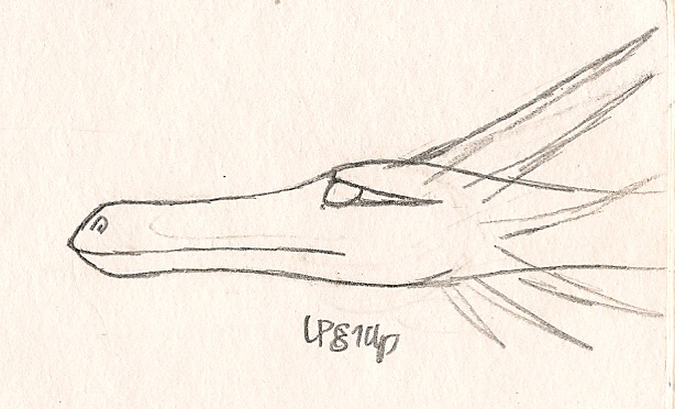 614x372 Day 15 Tide Glider By Lps100