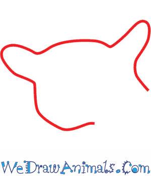 300x350 How To Draw A Sugar Glider