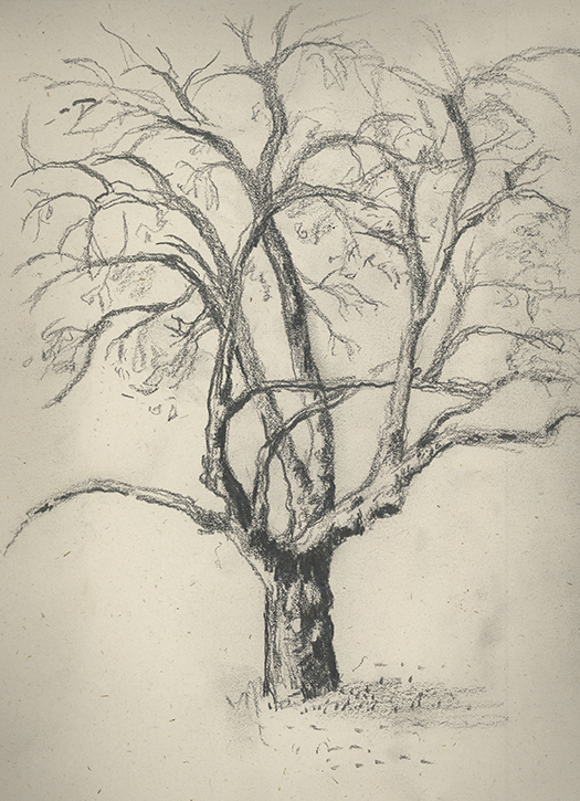 525x725 Archive Life Drawing To New Waves