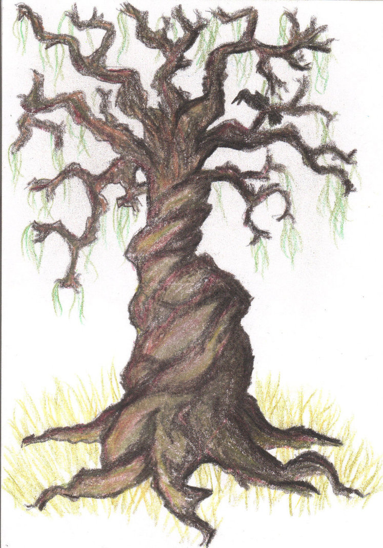 747x1070 Gnarled Tree By Quintinrwhite