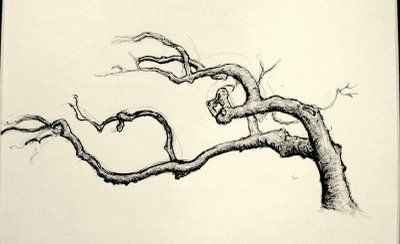 400x244 Gnarled Tree Drawing