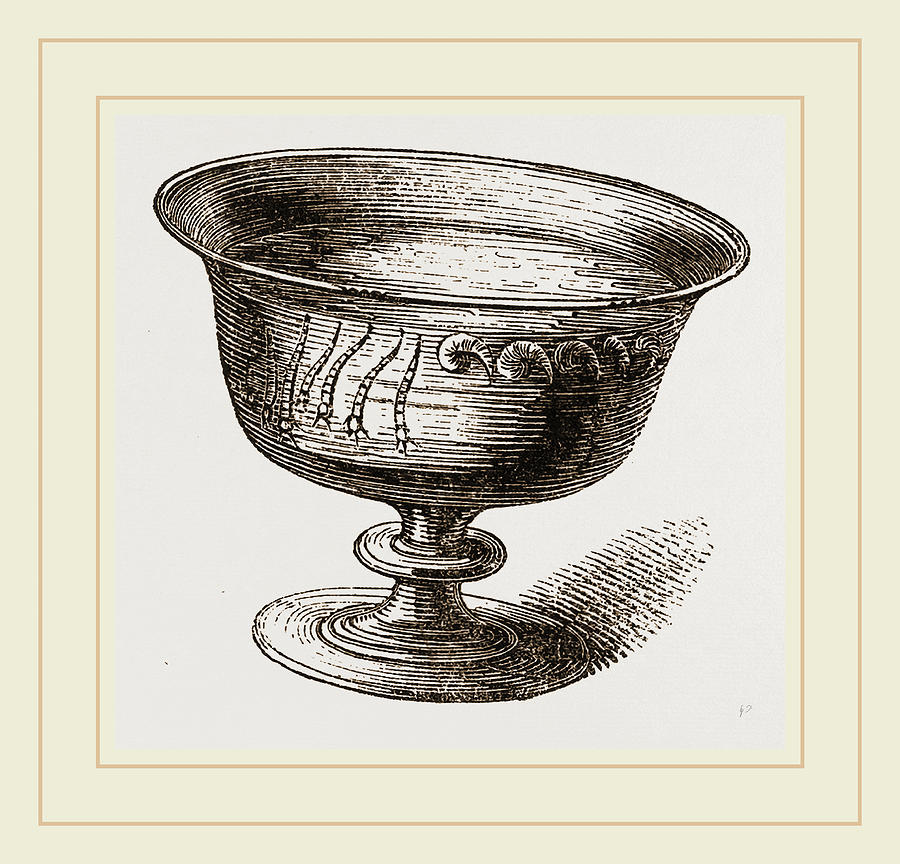 900x864 Larva Of Gnat Drawing By Litz Collection