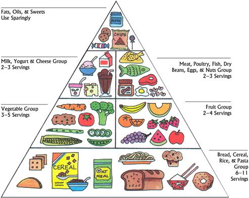 493x392 Webquest The Food Pyramid