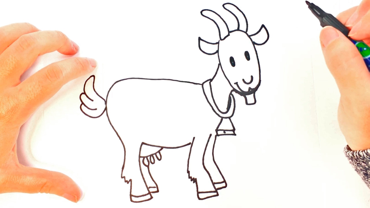 1280x720 How To Draw A Goat For Kids Goat Easy Draw Tutorial