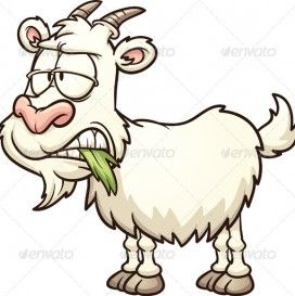 272x273 Eating Funny Goat Cartoon Funny Cartoon Goats