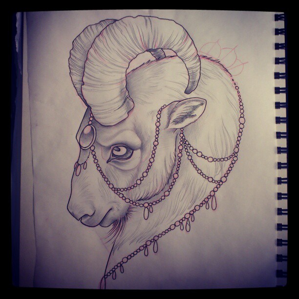 612x612 Outline Goat Head Tattoo Drawing Design