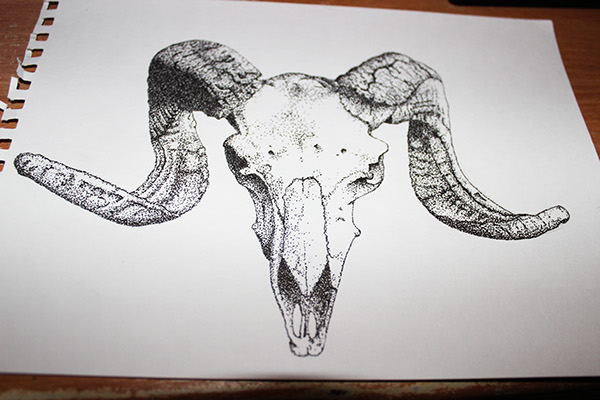 600x400 Skull Billy Goat On Behance
