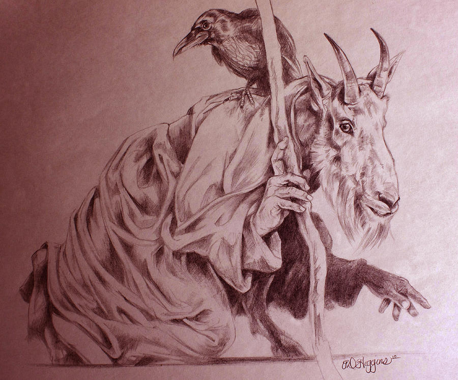 900x747 Mountain Goat Drawings Fine Art America