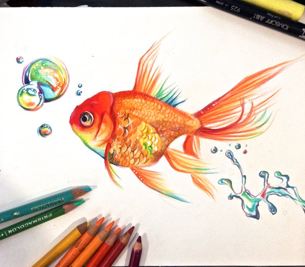 600x526 Rainbow Goldfish By Lucky978