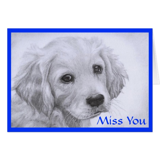 540x540 Miss You Golden Retriever Puppy Drawing Card
