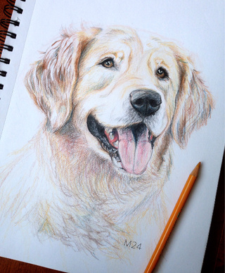 320x388 Imudkip24's Profile Page