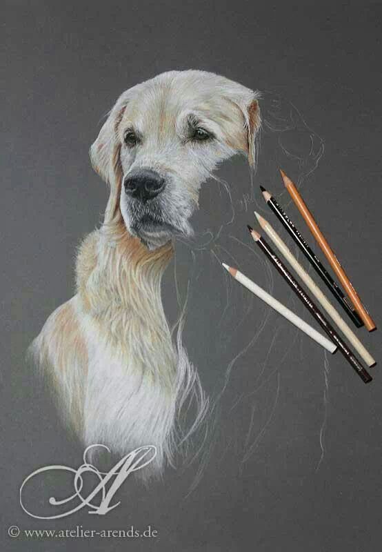 554x800 Genio! Art Coloured Pencils, Draw And Pastels