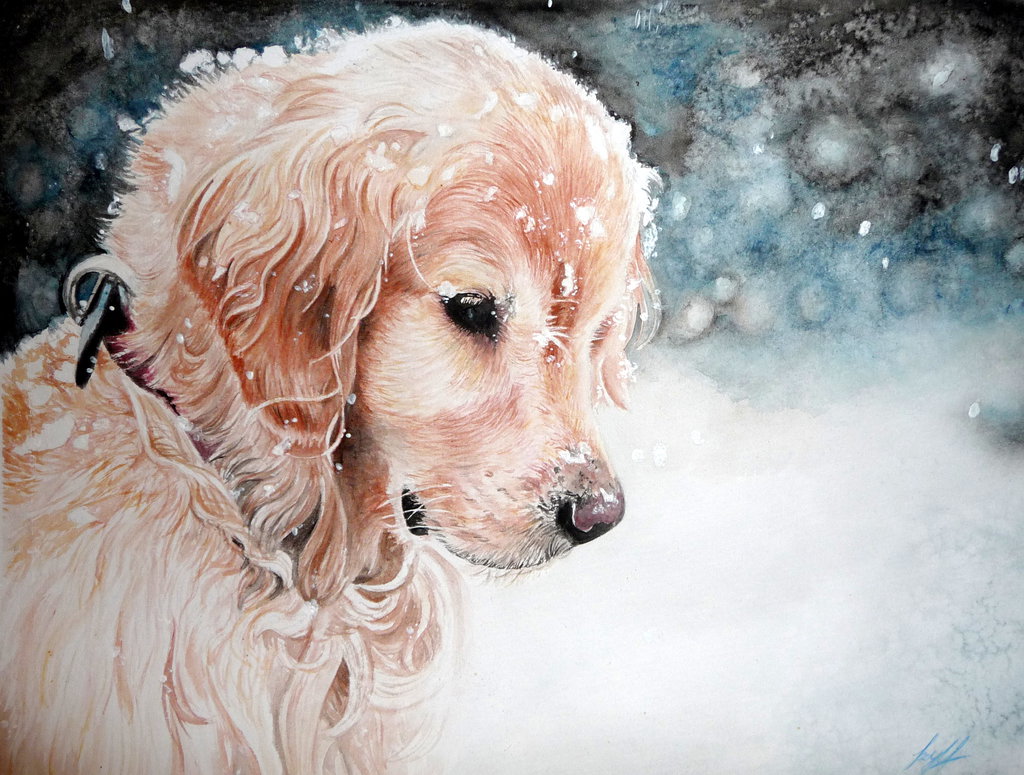 1024x775 Golden Retriever Puppy By Xxsahara96xx