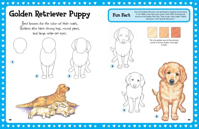 650x420 Step By Step Drawing Puppies Go Back Gt Pix For Gt How To Draw