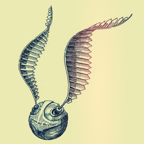 568x568 Golden Snitch On Behance