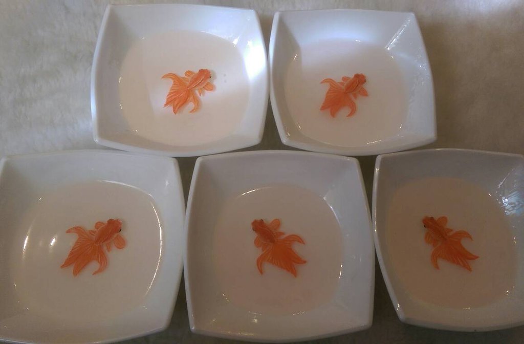 1024x672 Drawing 3d Goldfish In Resin Epoxy By Gallerymahighermez