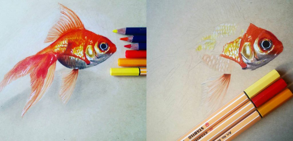 1024x492 Realistic Goldfish Drawing By Monikaalm