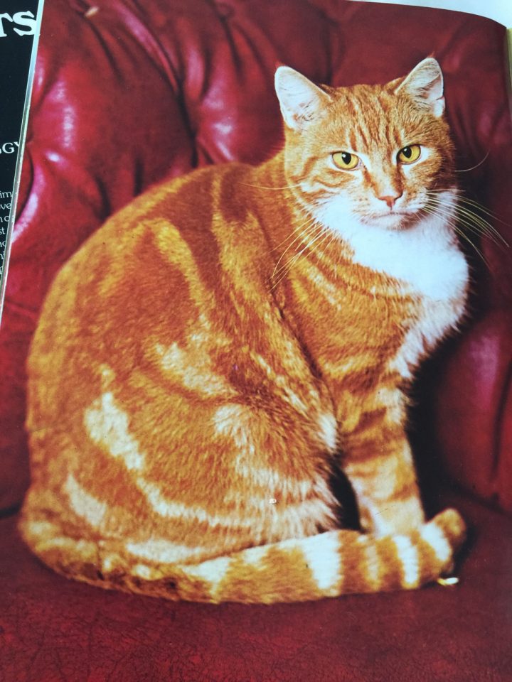 720x960 Drawing Paint ~ Drawing In Paint Paint Draw Online Best Drawing