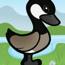 220x220 How To Draw How To Draw A Goose For Kids
