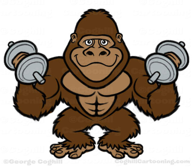 640x558 Jungle Gym Gorilla Bodybuilder Cartoon Character Sketches