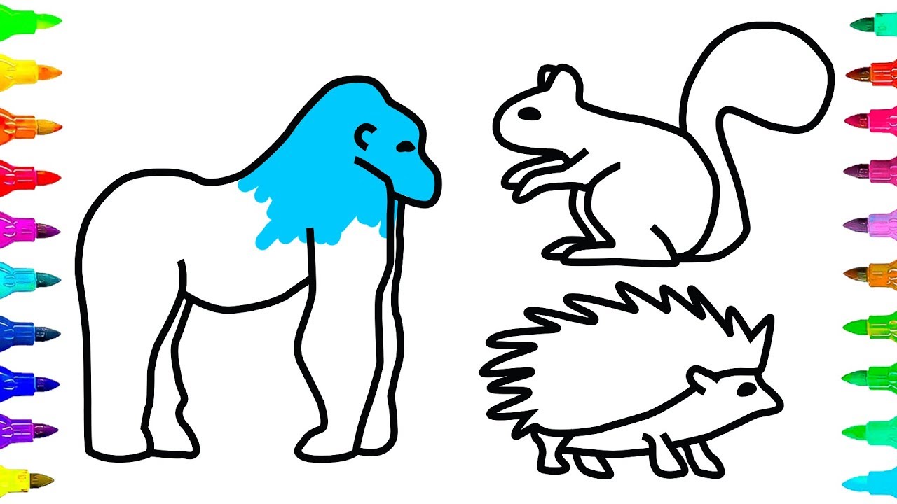 1280x720 How To Draw And Color Animals, Gorilla, Squirrel, Porcupine