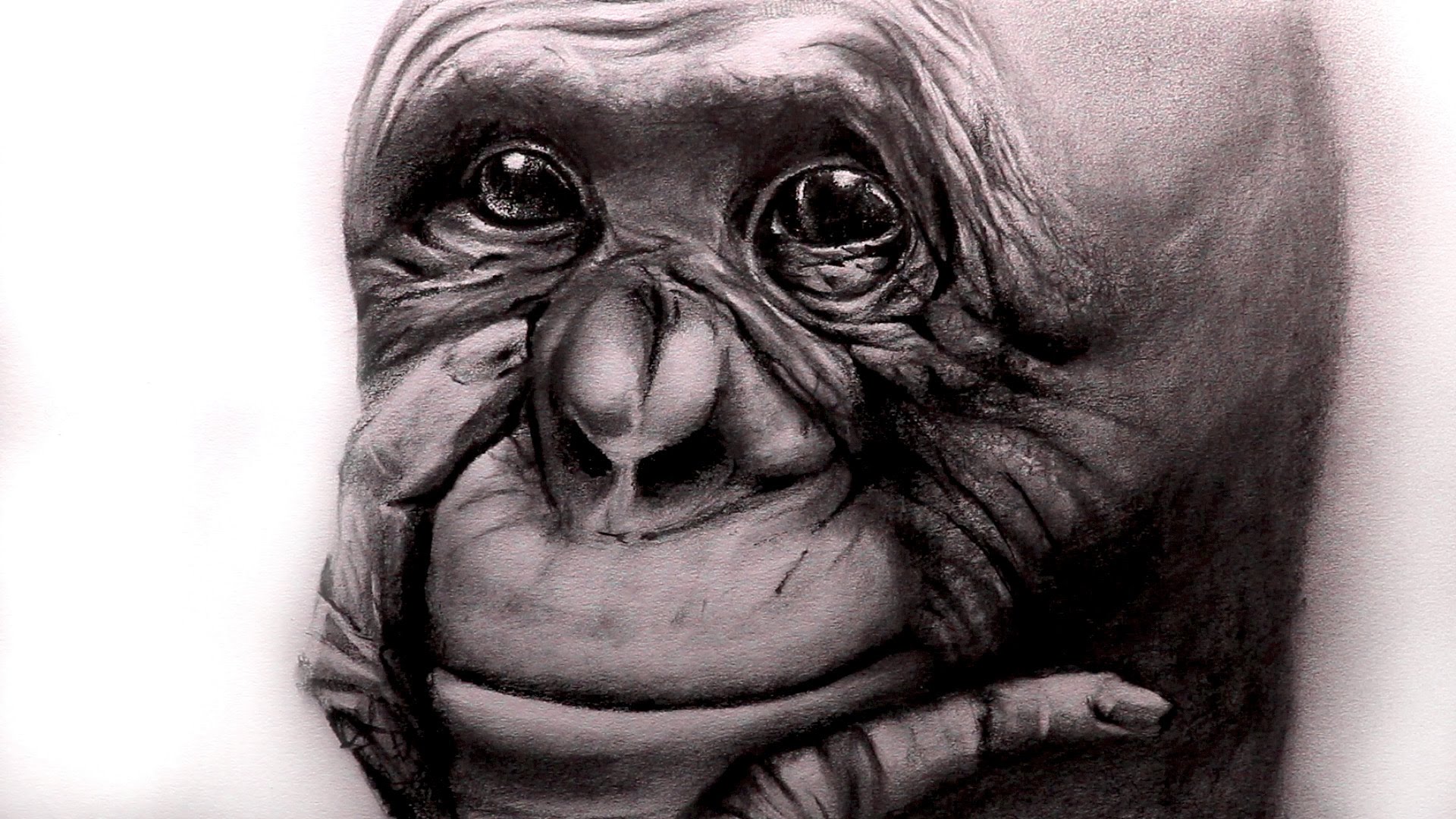 1920x1080 Art Videos Drawing A Gorilla