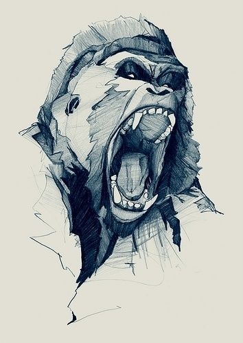 354x500 Gorilla Illustration In Tattoo Stuff I Like Tattoo
