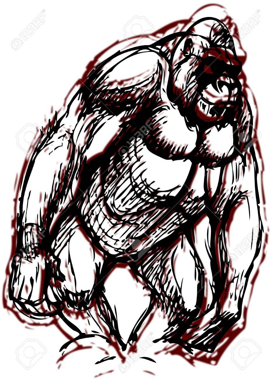 931x1300 Simple Drawing Of A Gorilla With Vector Effect Stock Photo