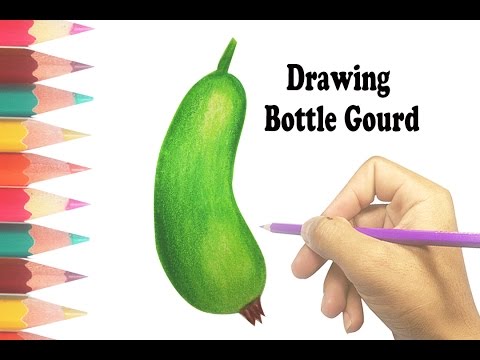 480x360 How To Draw A Bottle Gourd