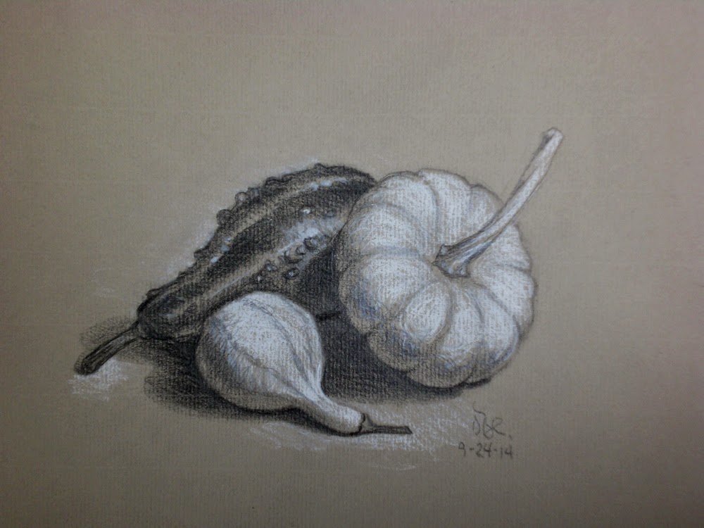 1000x750 My Drawing Journal Another Gourd Drawing