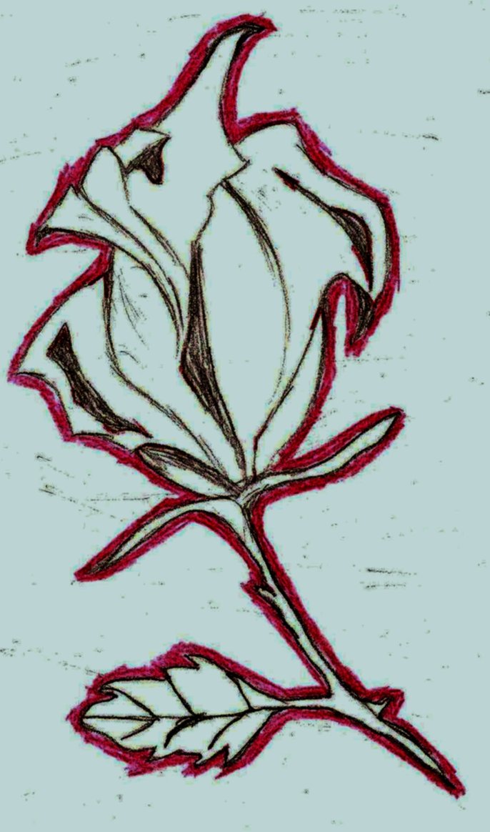 686x1164 Graffiti Rose By Itz Arctic Wolf
