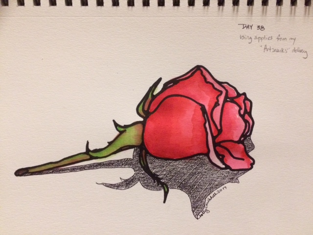 640x480 Rose Threesixfiveart