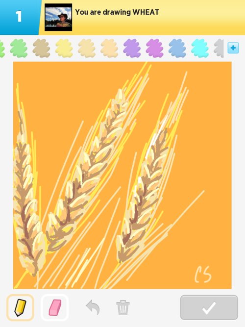 500x667 Wheat Drawings