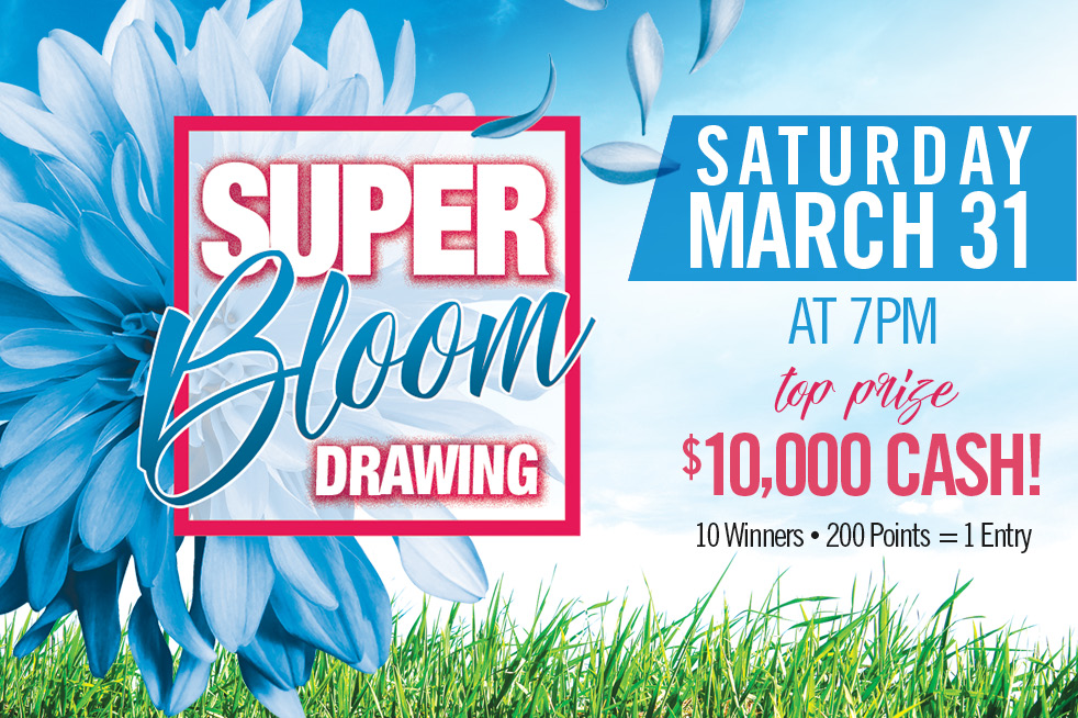 982x654 Super Bloom Grand Prize Drawing