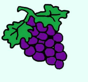 300x280 How To Draw Grapes Video By Simplekidscrafts Fawesome.tv