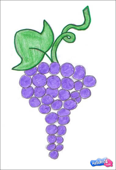 380x558 How To Draw Grape