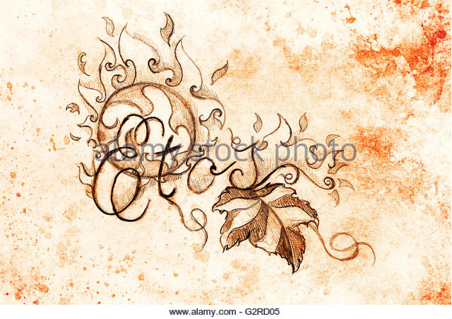 640x451 Grape Leaves Wine Engraved Illustration Stock Photos Amp Grape