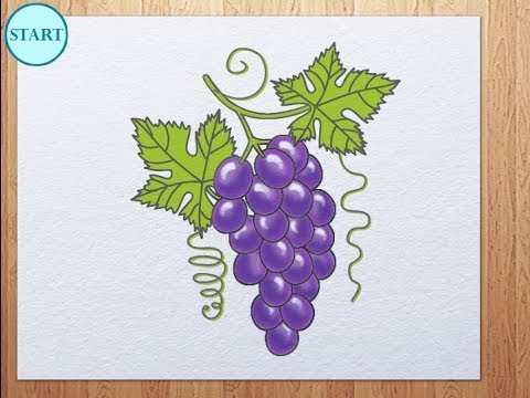 480x360 How To Draw Grape