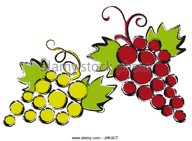 640x468 Fruit Drawing Sketch Clipart Cut Out Stock Images Amp Pictures