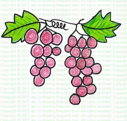 438x418 Abc To Drawing Grapes