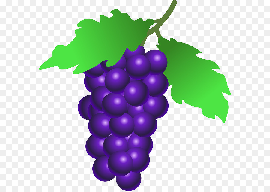 900x640 Common Grape Vine Clip Art