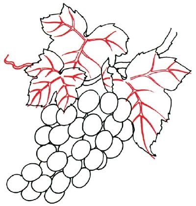 400x420 How To Draw Grapes In 5 Steps Paintings, Craft And Drawings