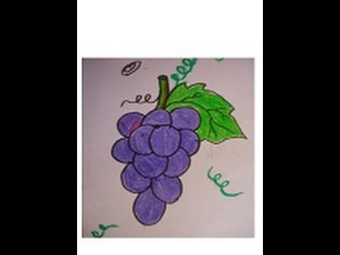 480x360 Easy Drawing For Kids,grapes Drawing And Coloring In Simple Step