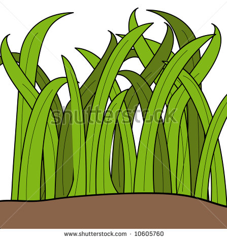 447x470 Cartoon Grass Cartoon Drawing Of Blades Of Green Grass