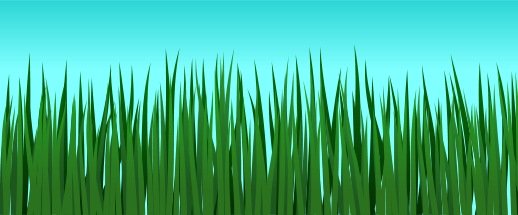 518x215 To Draw Grass