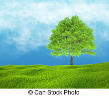 219x194 Field Of Green Grass And Sky With Clouds. Field Of Green