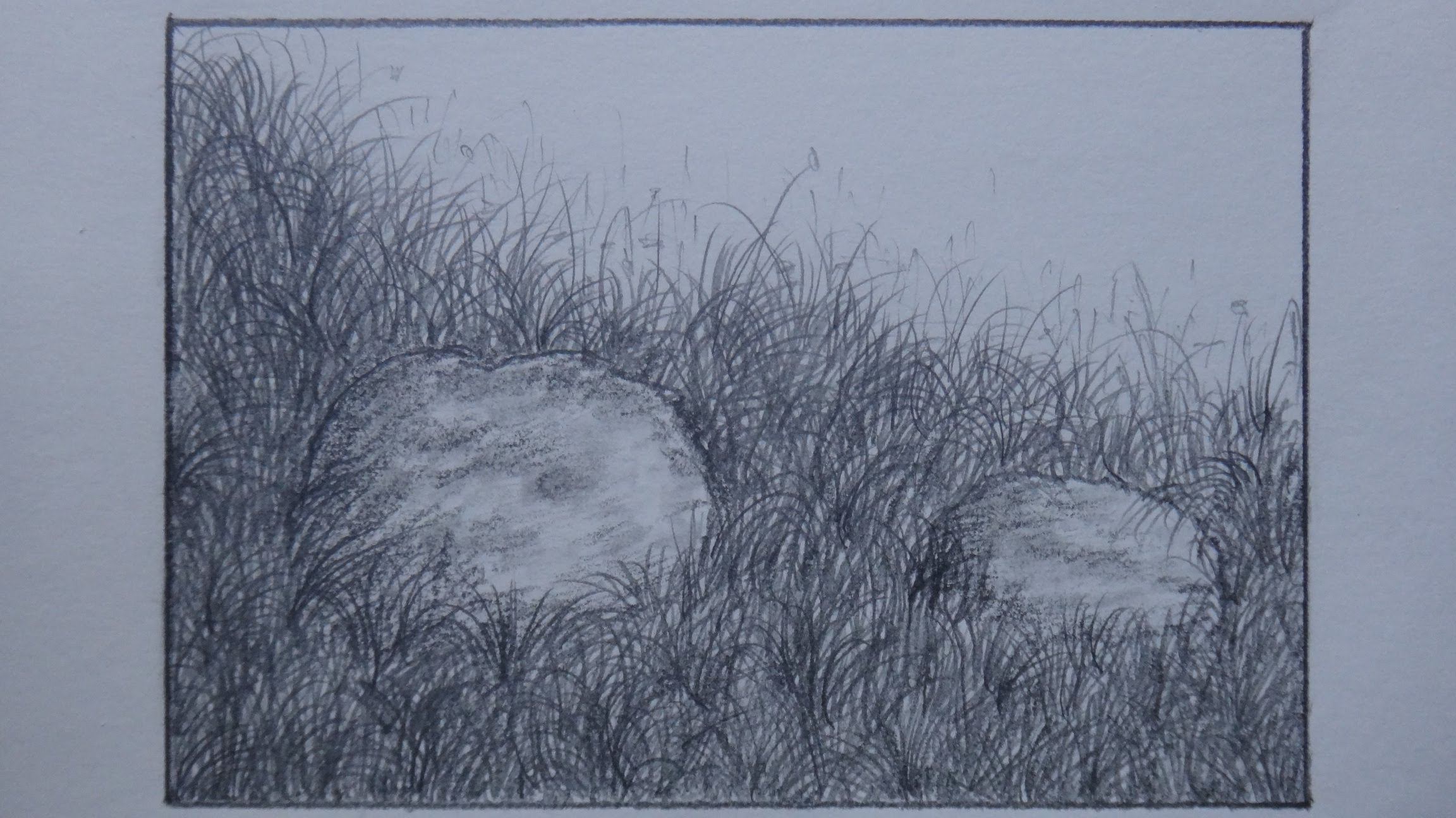 2304x1296 How To Draw Grass Using Pencil For Landscape