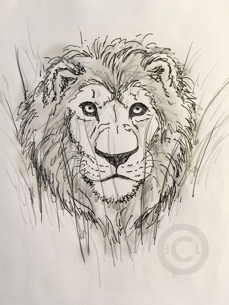 736x981 82 Best Brad Lawley's Sketch Book Images On Angry Bear