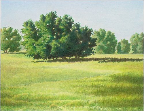 500x385 How To Correct Mistakes Or Rework A Finished Colored Pencil Drawing